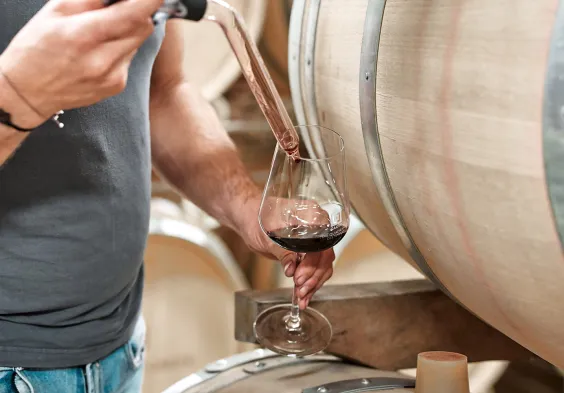 gager fassprobe 2023