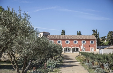 gerard bertrand chateau hospitalet vignes paysages credit photo Marie Ormieres (1)