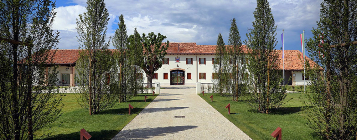 giusti wine v2