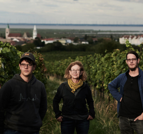 Drei Personen im Weinberg mit Dorf und See im Hintergrund.