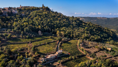 il Marroneto vigne drone