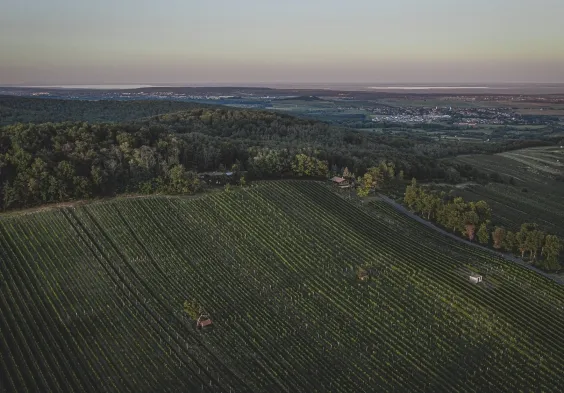 kolfok hochberg mit seeblick