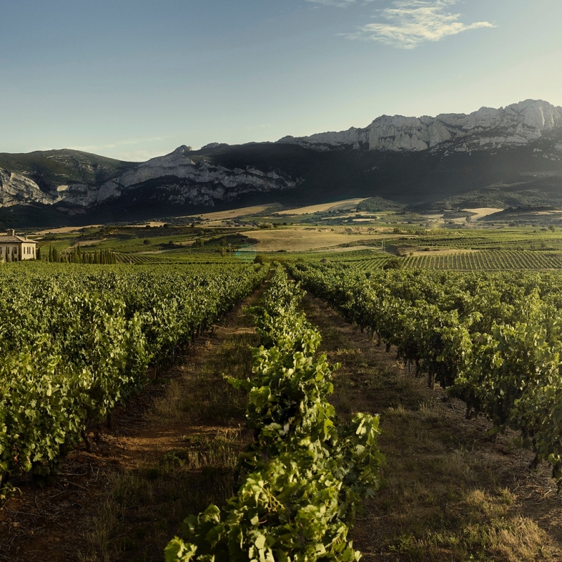 la rioja alta