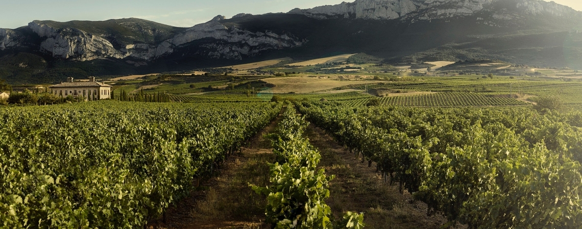 la rioja alta