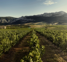 la rioja alta