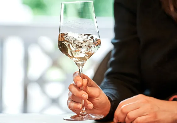 lackner tinnacher schwenken