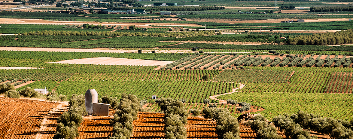 navalon