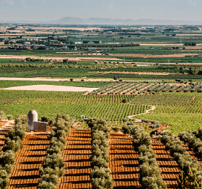 navalon