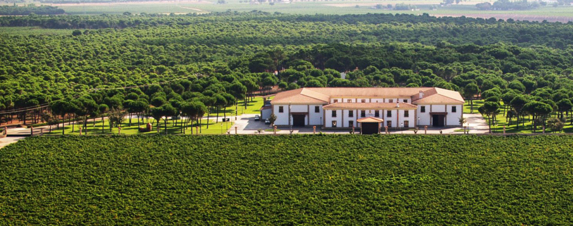 pago de la jaraba