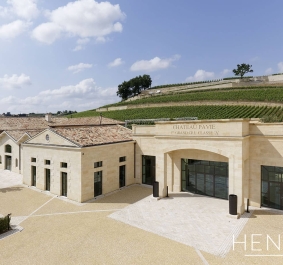 pavie (2)
