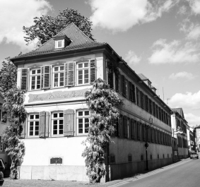 reichsratvonbuhl
