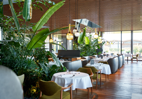 scheiblhofer restaurant