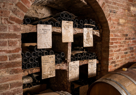 silvia rivella home cantina 3