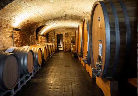 silvia rivella home cantina