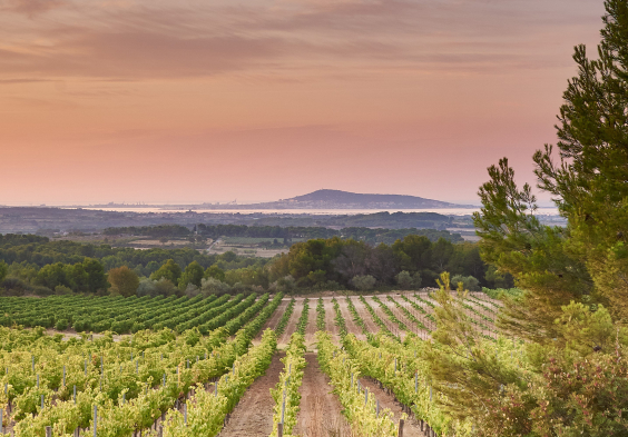 villa noria landscape