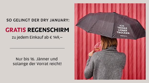 Faszinationselement Desktop Gratisbeigabe Regenschirm Januar 2024