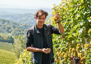 Mann im Weinberg, hält Trauben, sonnige Landschaft im Hintergrund.
