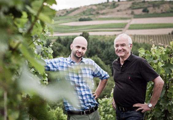 doennhoff weingut 1