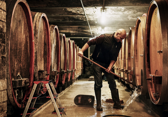 doennhoff weingut 8