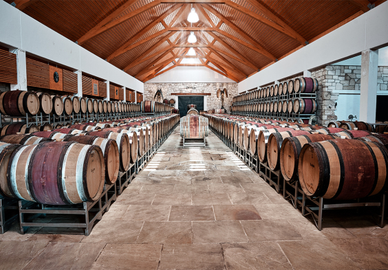 weingut umathum 02