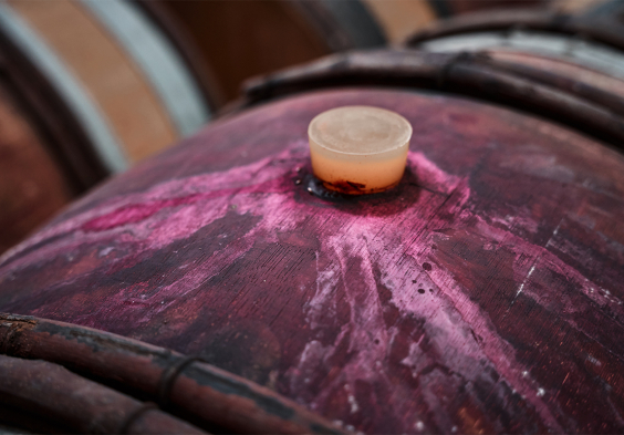 weingut umathum 04