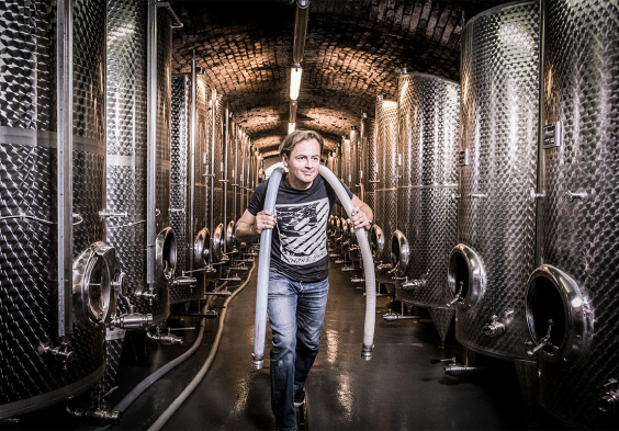 Weingut Stadt Krems 08