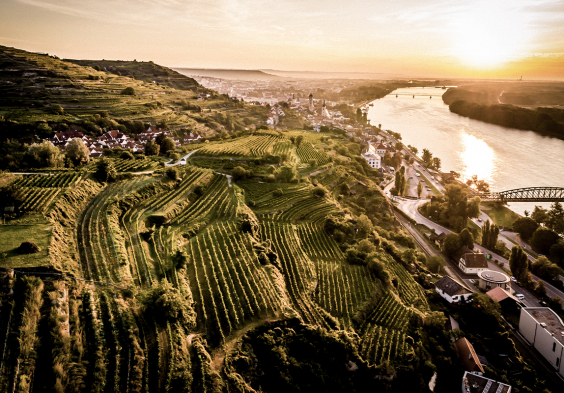 Weingut Stadt Krems 09 Altenberg