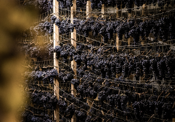 weingut schwarz 03