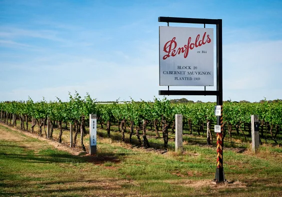 penfolds 03