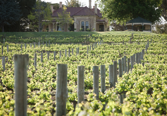 penfolds 06
