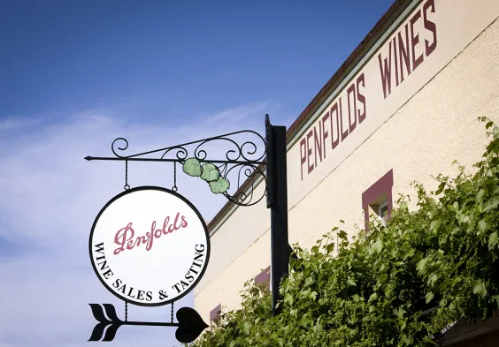 penfolds 08