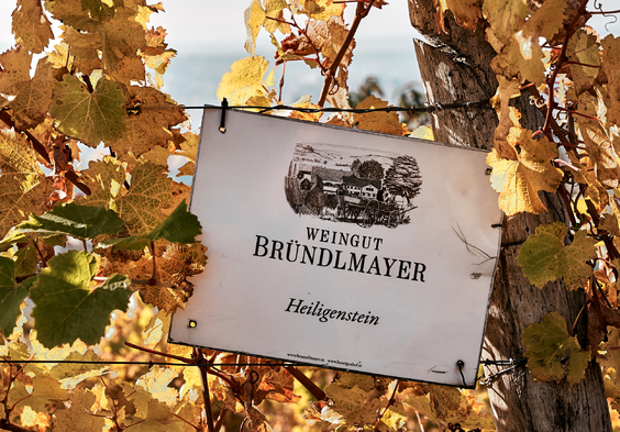 Bruendlmayer Weingarten