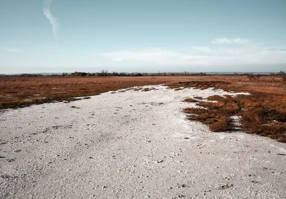 Salzl 1 Landschaft