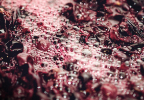 Stage Desktop Natural Wines