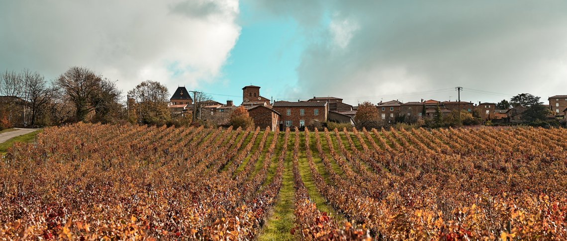 16 Domaine Jean Paul Brun 2021 Feichtinger