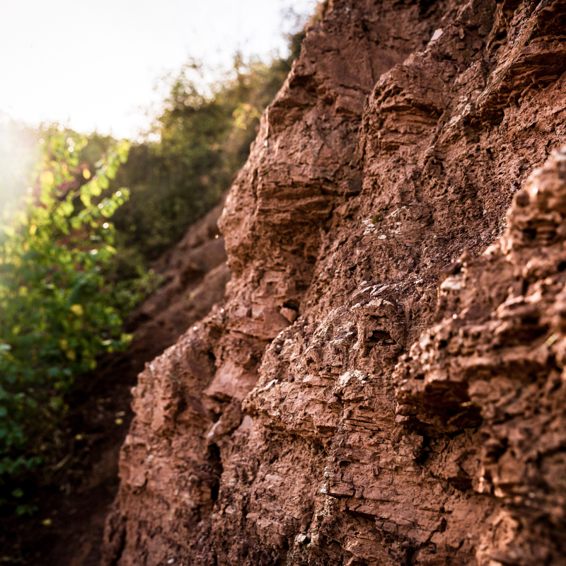 StAntony Rotschiefer 03