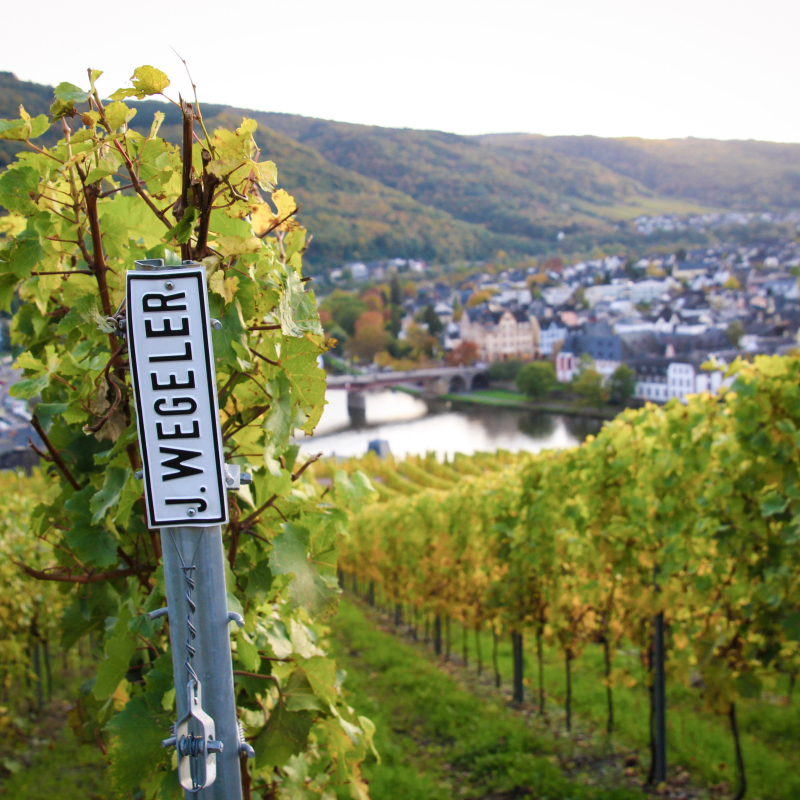 Wegeler Doctor Weinberg