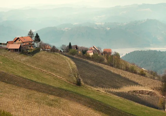 Wohlmuth 2022 Ausblick