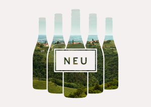 neu insp