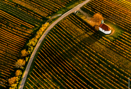 Teaser Mittelburgenland