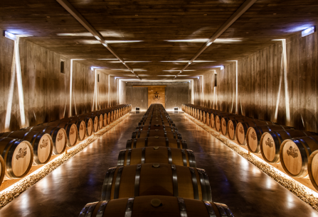 Teaser Rioja