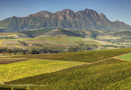 Teaser Suedafrika