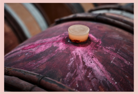Teaser Vinochmal Rotweincuvees