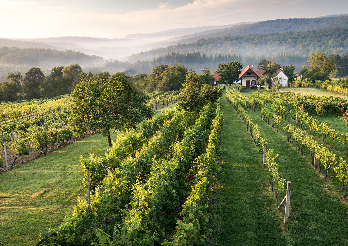 teaser suedburgenland