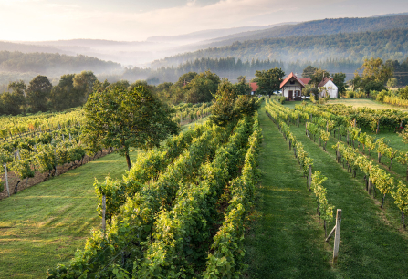 teaser suedburgenland