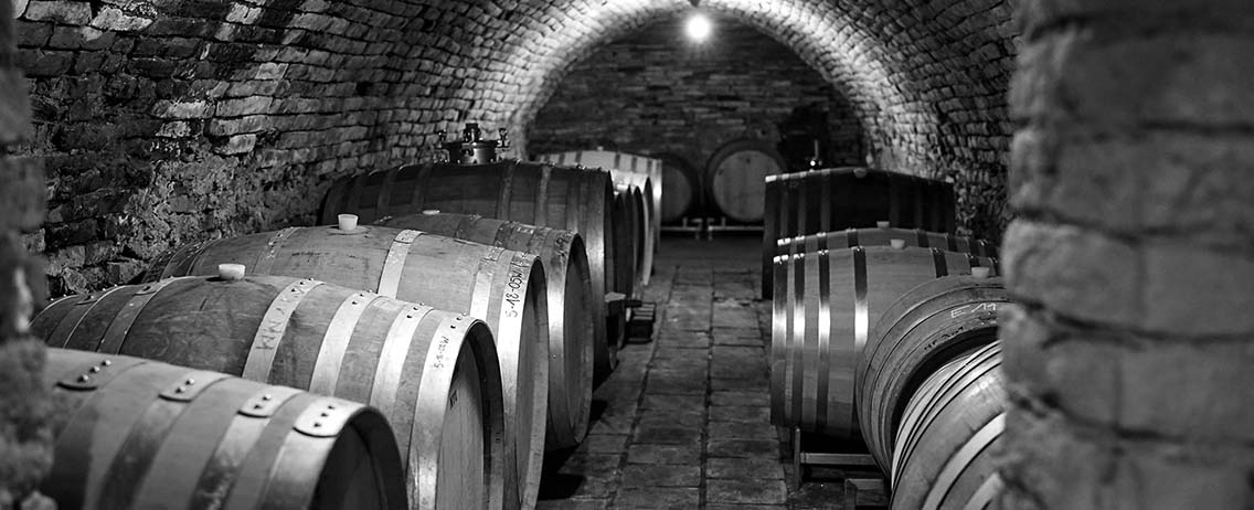 bordeaux fuer alle teaser