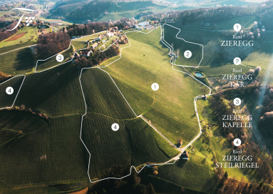 weingut tement zieregg zukunft