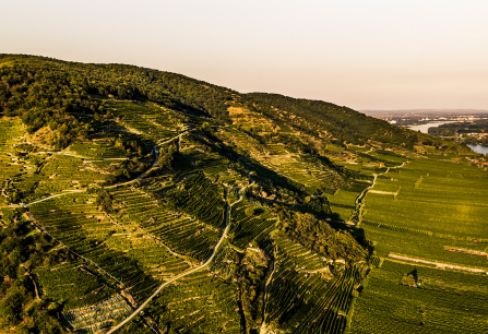 Smaragd 2022 Ried Loibenberg herbst