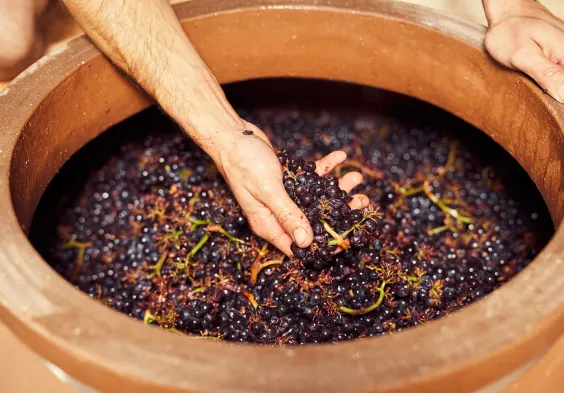 gernot heinrich maische