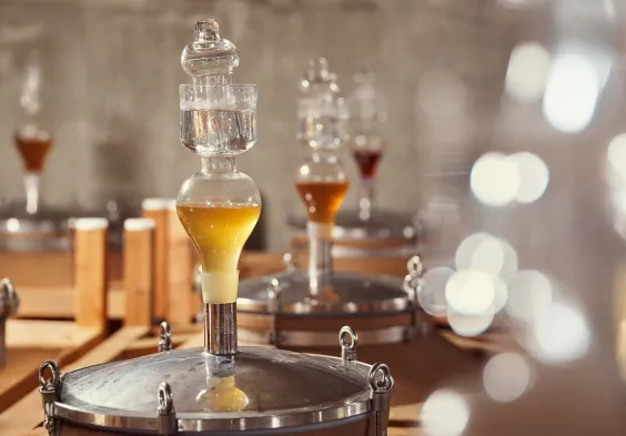 gernot heinrich tonneaus